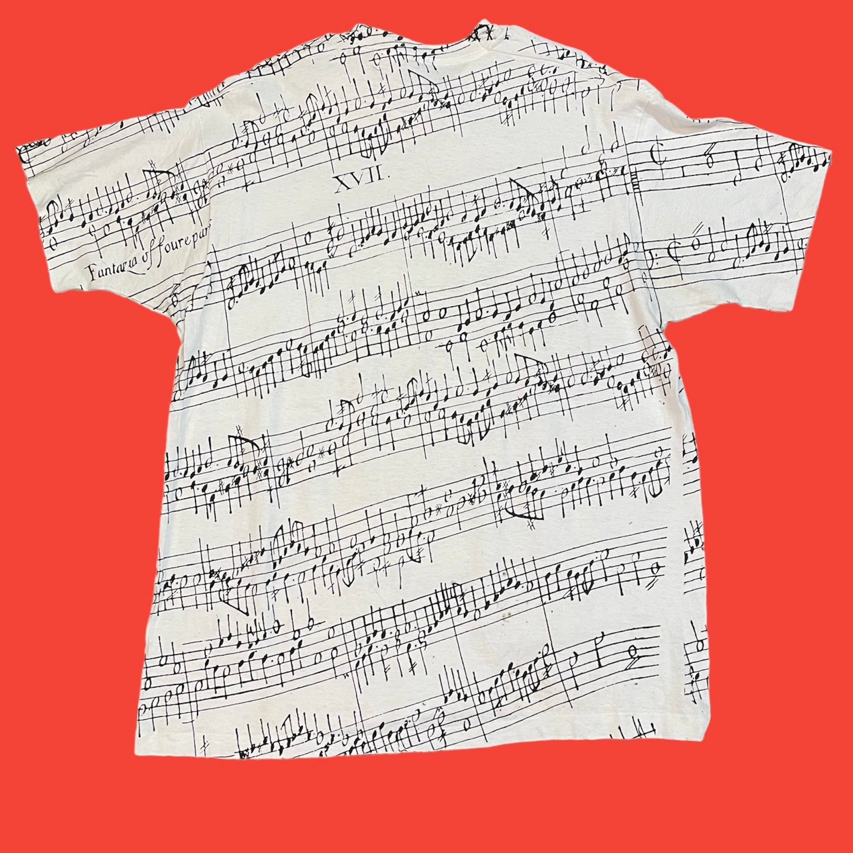 Music Notes AOPT-Shirt 2XL